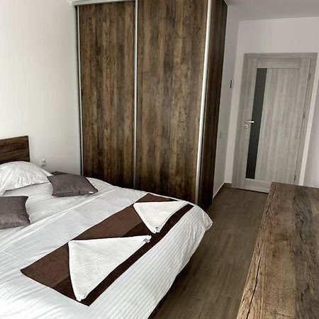 Central River Apartment Cluj-Napoca Esterno foto