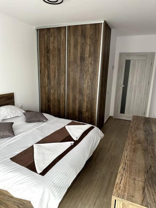 Central River Apartment Cluj-Napoca Esterno foto